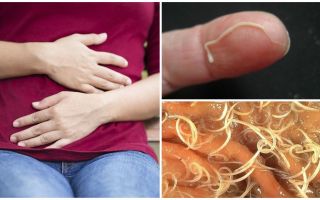 Effekterna av pinworms för människor