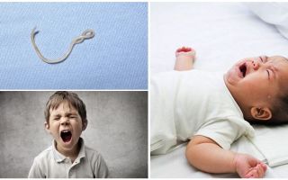 Symtom och behandling av ascariasis hos barn