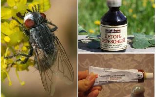 Lösning för gadflies och horseflies för människor