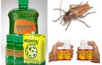 Hur och hur man förgiftar kackerlackor hemma
