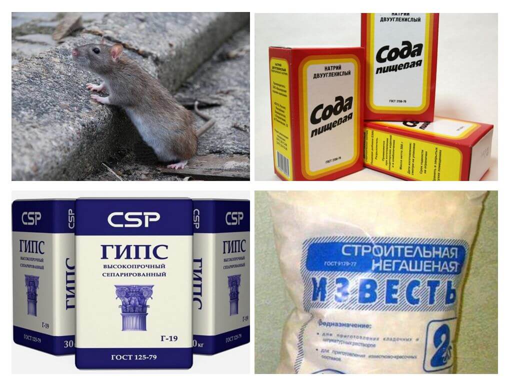 Folkmetoder från råttor
